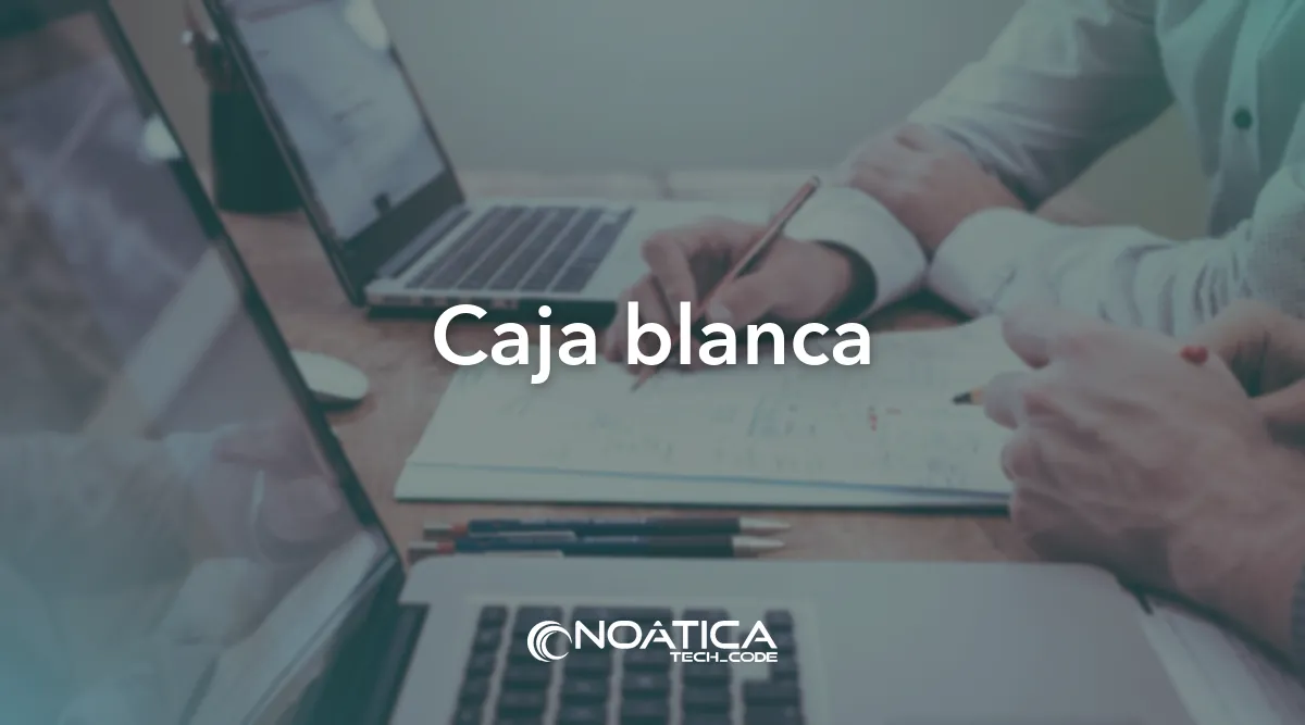 Caja blanca: Pentesting para empresas: test de intrusión – NOÁTICA Informática para empresas