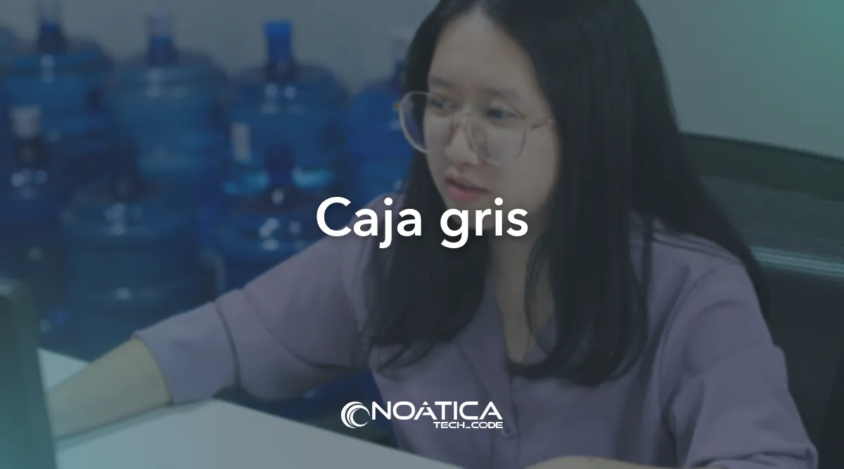 Caja gris: Pentesting para empresas: test de intrusión – NOÁTICA Informática para empresas