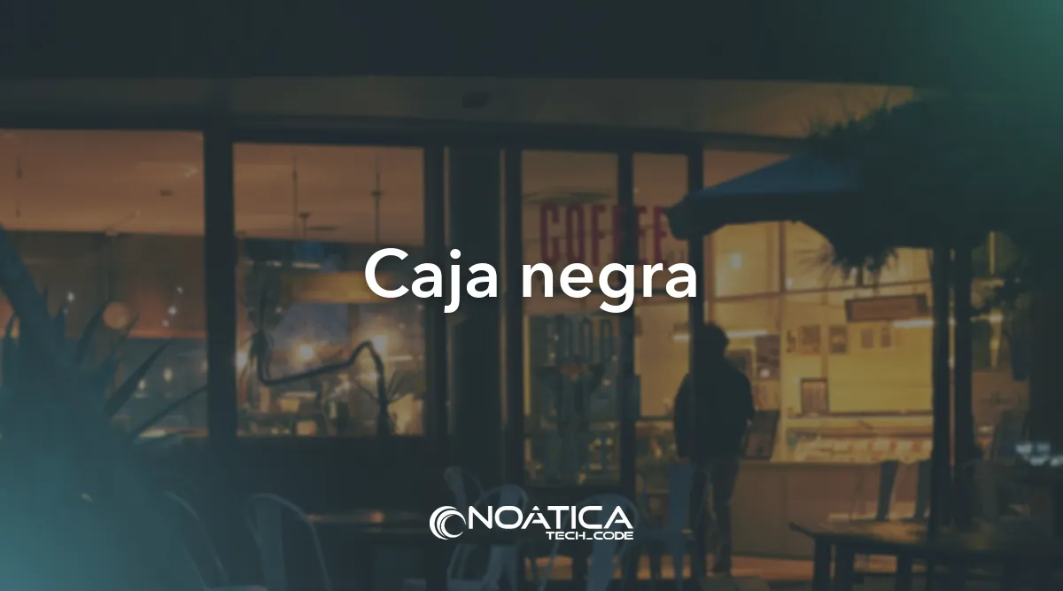 Caja negra: Pentesting para empresas: test de intrusión – NOÁTICA Informática para empresas
