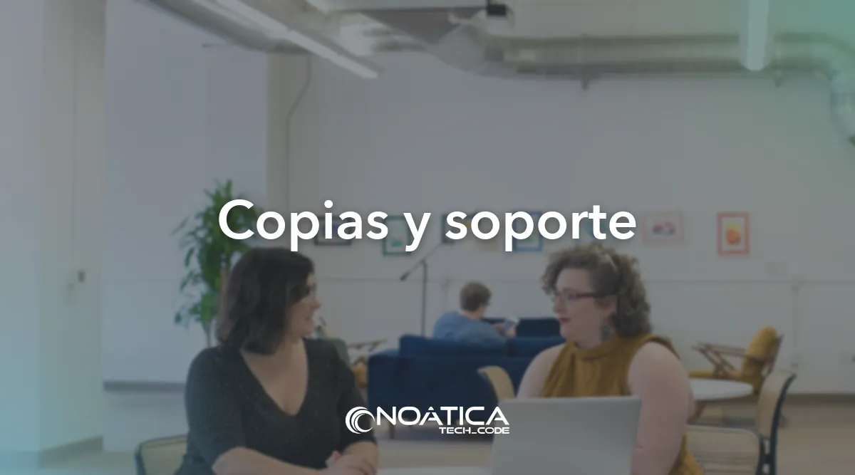 Copias y soporte: Programación y mantenimiento de plataformas Moodle – NOÁTICA Informática para empresas
