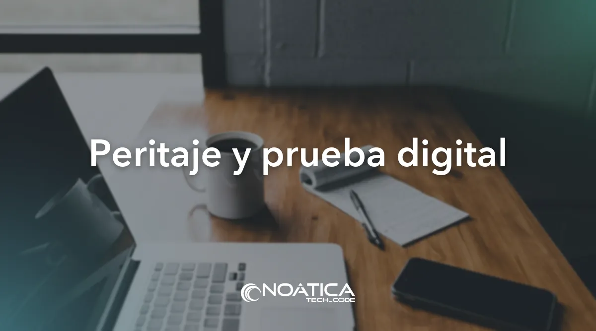 Peritaje y prueba digital: Consultoría y auditoría informática para empresas – NOÁTICA Informática para empresas