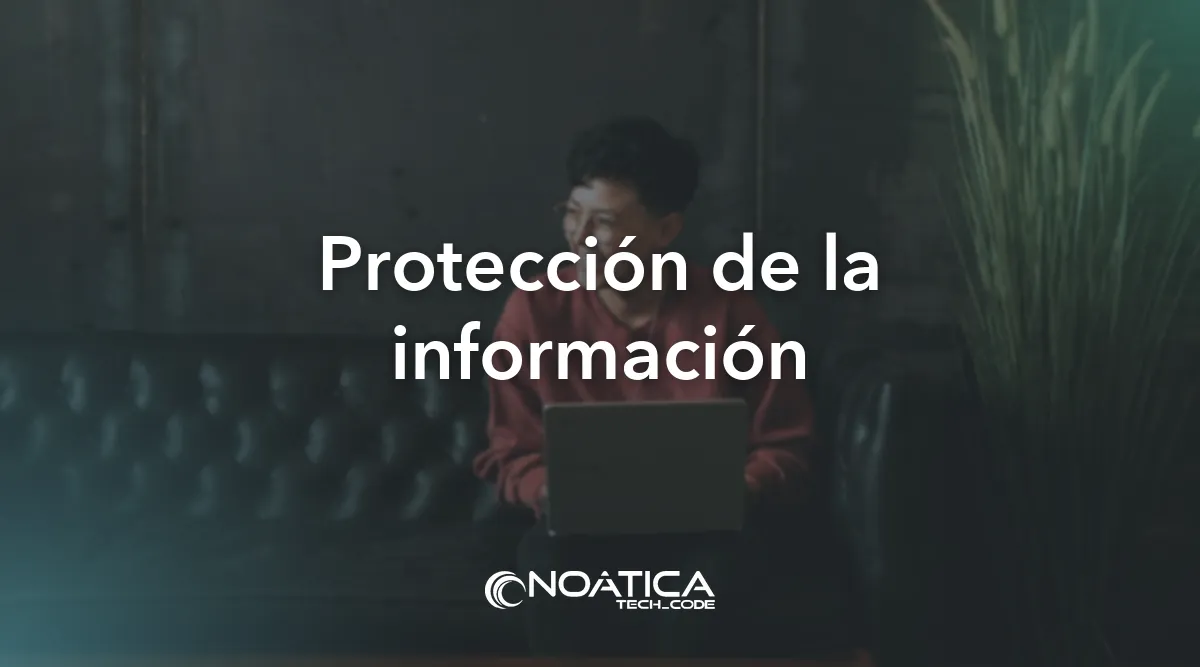 Protección de la información: Ciberseguridad para empresas y pymes – NOÁTICA Informática para empresas