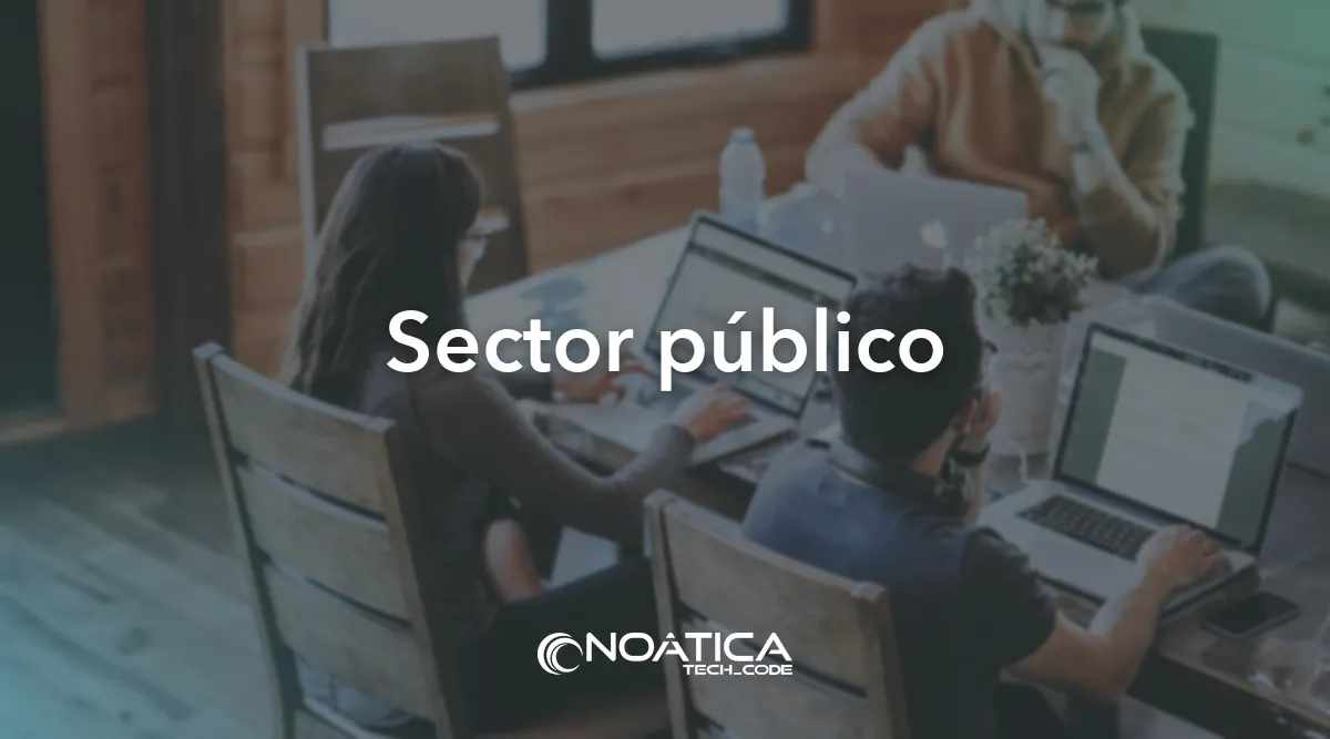 Sector público: Consultoría tecnológica para empresas – NOÁTICA Informática para empresas